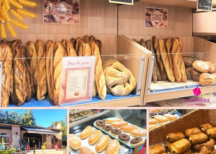 La Pinede Feriested Calvi (Corsica)