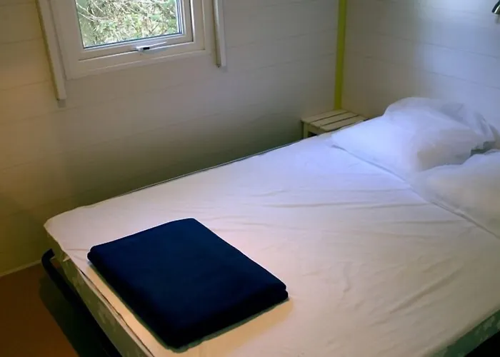 Feriested La Pinede 4*