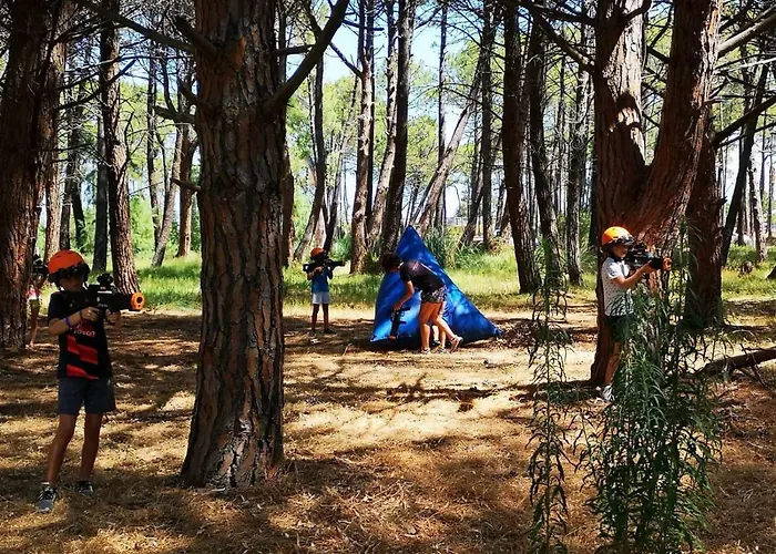 Feriested La Pinede 4*