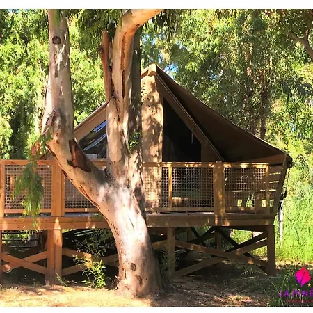La Pinede 4*