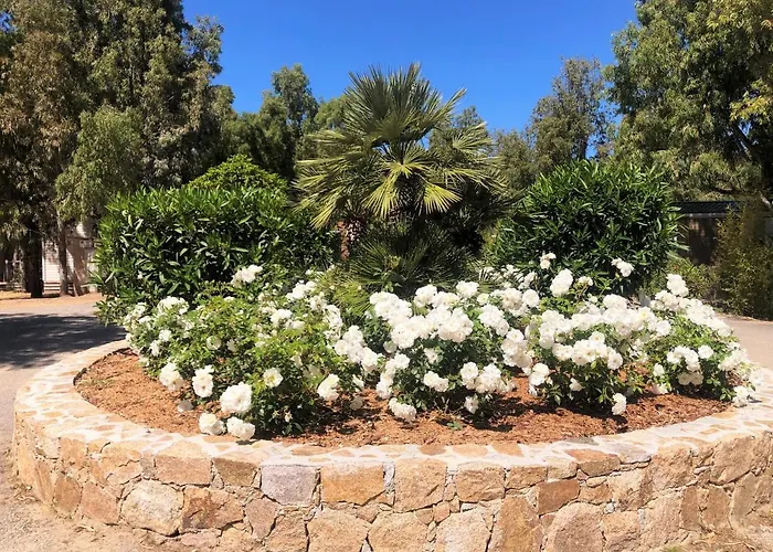 La Pinede 4* كالفي