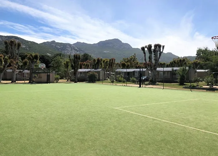 La Pinede 4* كالفي